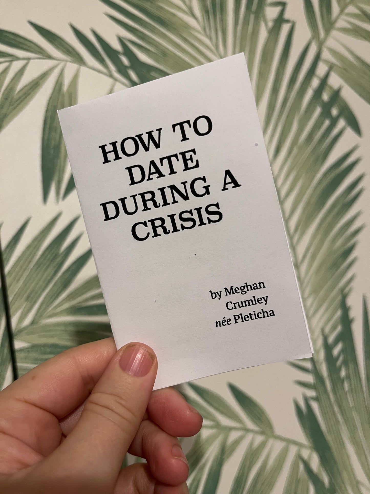 HOW TO DATE DURING A CRISIS (zine)